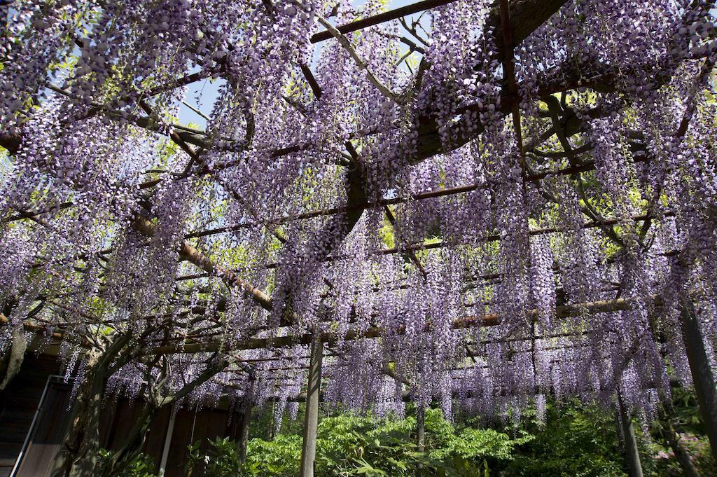 Hotel Nanzanso 伊豆之国市 外观 照片